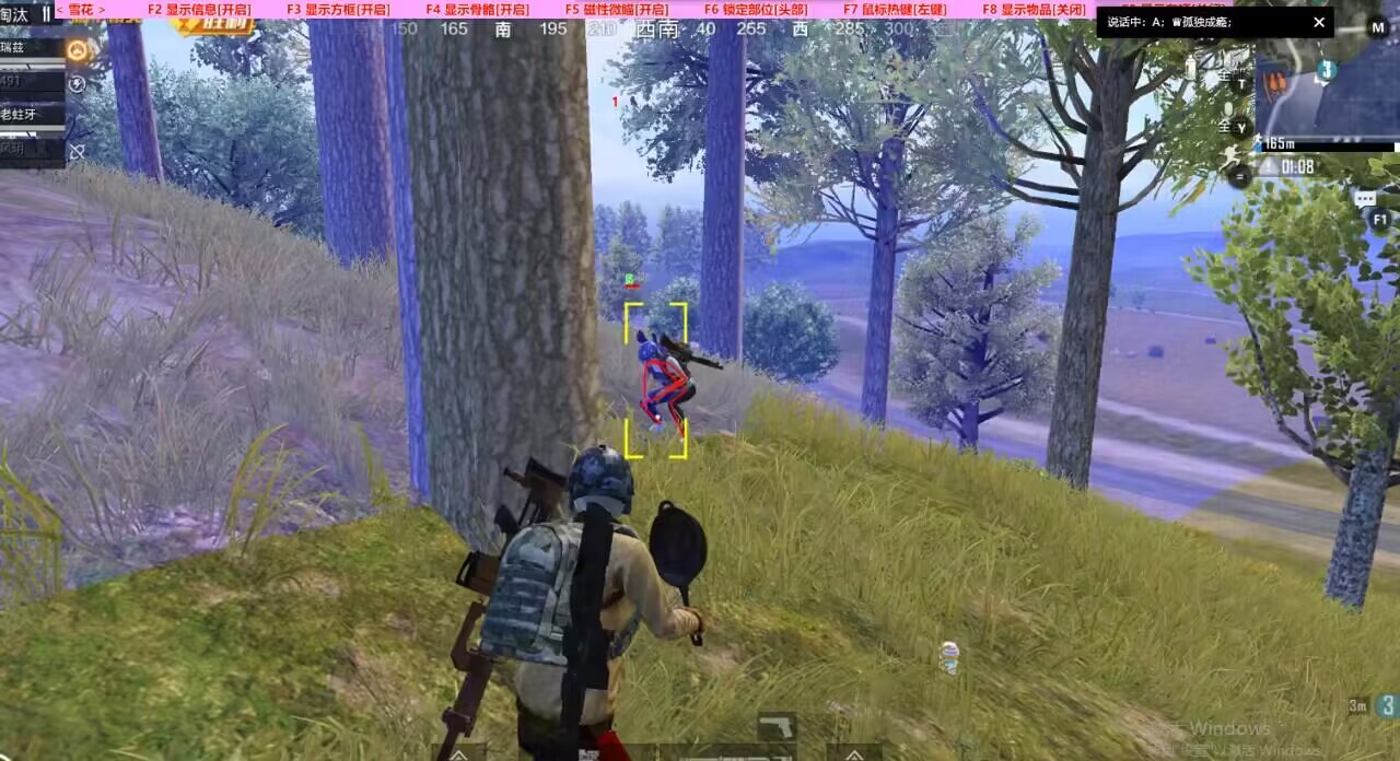 和平精英《圣女果》直装外挂全网首发上市